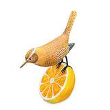 Wren Munching an Orange