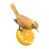 Wren Munching an Orange