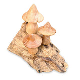Mystical Magic Bali Mushrooms 10cm