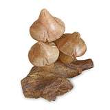 Mystical Magic Bali Mushrooms 10cm