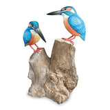 Double Kingfisher