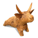 Angus the Bull
