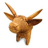 Angus the Bull