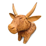 Angus the Bull