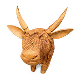 Angus the Bull