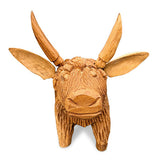 Angus the Bull