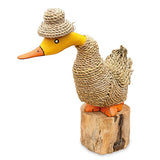 Duckleberry Finn 22cm