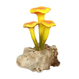 Chanterelle Triple Painted Mushroom
