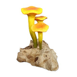 Chanterelle Triple Painted Mushroom