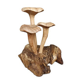Foraged Trio of Chanterelle Mushrooms