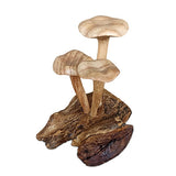 Foraged Trio of Chanterelle Mushrooms