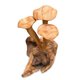 Foraged Trio of Chanterelle Mushrooms