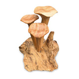 Foraged Trio of Chanterelle Mushrooms