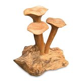 Foraged Trio of Chanterelle Mushrooms