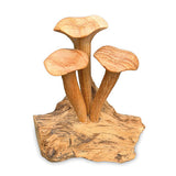 Foraged Trio of Chanterelle Mushrooms