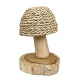 Thatchcap Toadstool 14cm