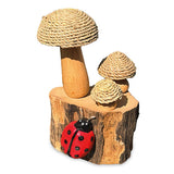 The Enchanted Ladybird 18cm