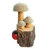 The Enchanted Ladybird 18cm