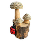 The Enchanted Ladybird 18cm