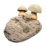 Thatched Coastal Toadstool Trio on Pumice Stone 13cm
