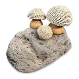 Thatched Coastal Toadstool Trio on Pumice Stone 13cm