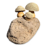 Thatched Coastal Toadstool Trio on Pumice Stone 13cm