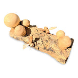 Bee Meadow Mushroom Grove 10cm