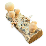 Bee Meadow Mushroom Grove 10cm
