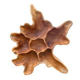 Teak Root Wall Art Sculpture large