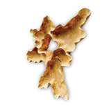 Teak Root Wall Art Sculpture large