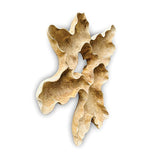 Teak Root Wall Art Sculpture large