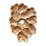 Teak Root Wall Art Sculpture large