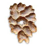 Teak Root Wall Art Sculpture large