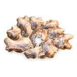 Teak Root Wall Art Sculpture large