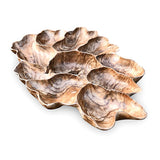 Teak Root Wall Art Sculpture large