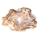 Teak Root Wall Art Sculpture large