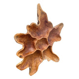 Teak Root Wall Art Sculpture large