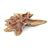 Teak Root Wall Art Sculpture large