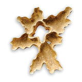 Teak Root Wall Art Sculpture large