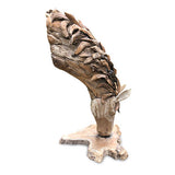 Grazing Horse Head 75cm