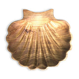 Coastal Shell Platter 30cm