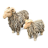 Driftwood Ram