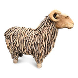 Driftwood Ram
