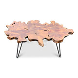 Root Industrial Coffee Table large