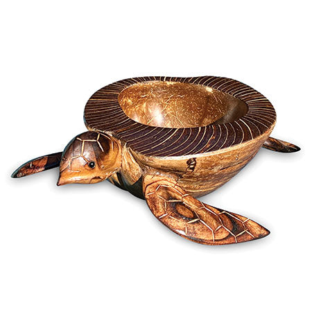 Turtle Shell Kettle Natural Coconut Shell Turtle Bowl – Driftwood Living UK